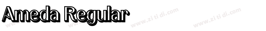 Ameda Regular字体转换